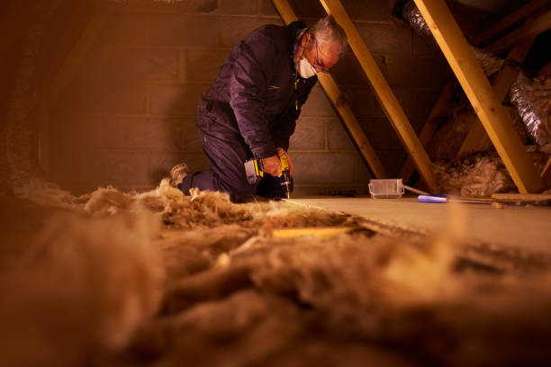 Best Types of Insulation in Tarpey Village, CA